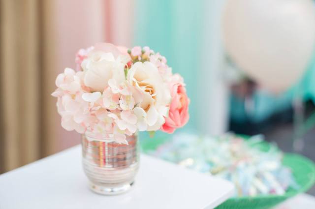 11699060_10152857593655764_3067397207890593676_o